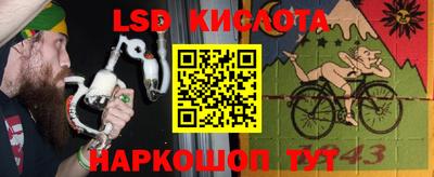 сатива Краснодар