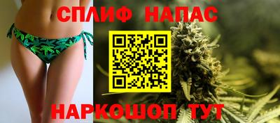 сатива Краснодар