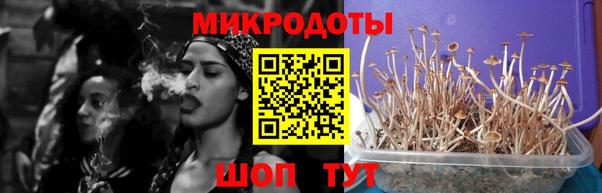 Галлюциногенные грибы Psilocybine cubensis  Вход с VPN  Краснодар 